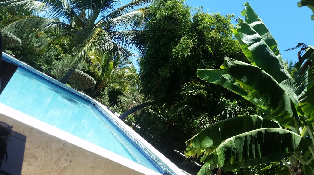 Eat Outs // Garden Grill