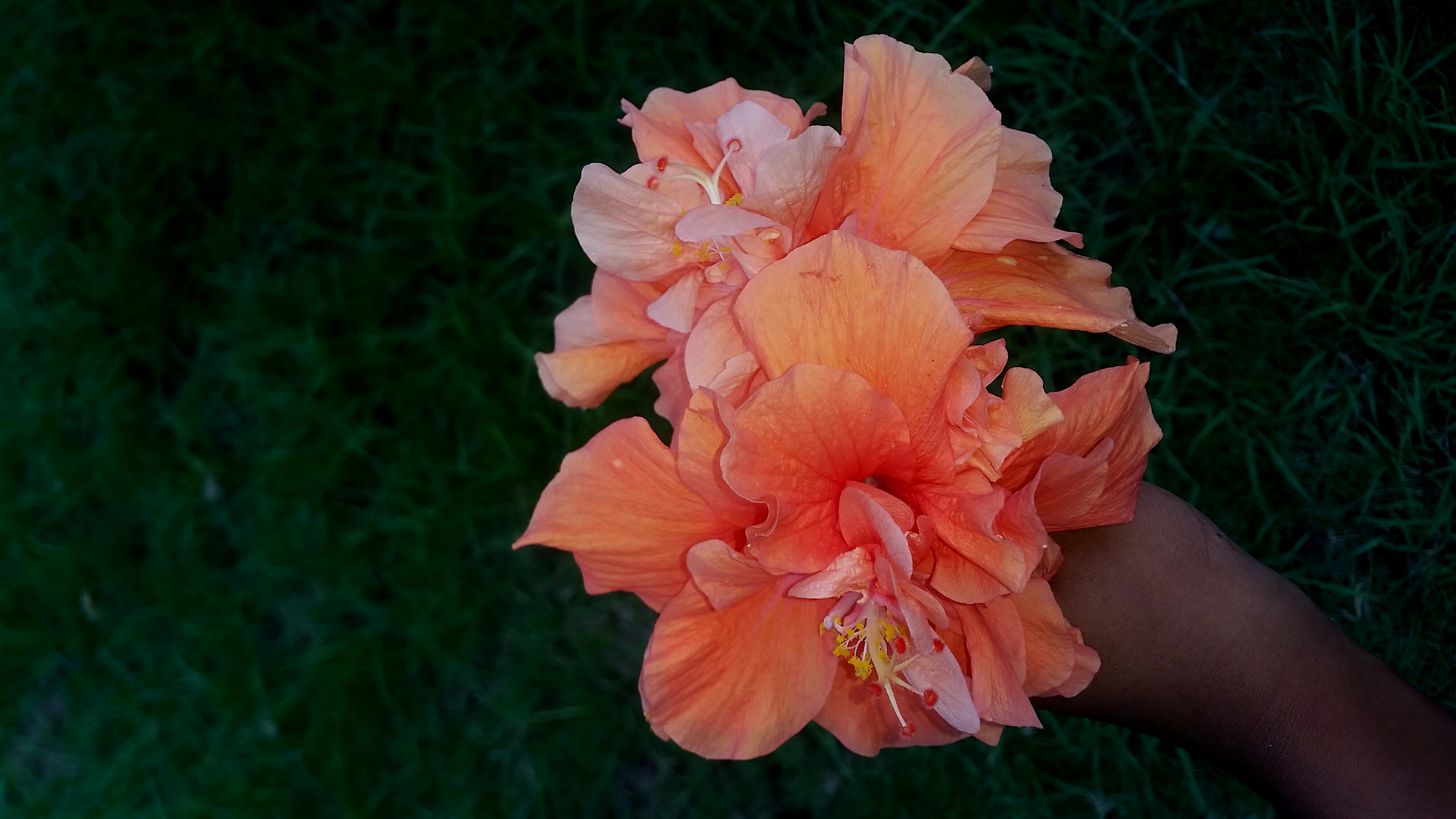 2017-10-14 17.38.54.jpg