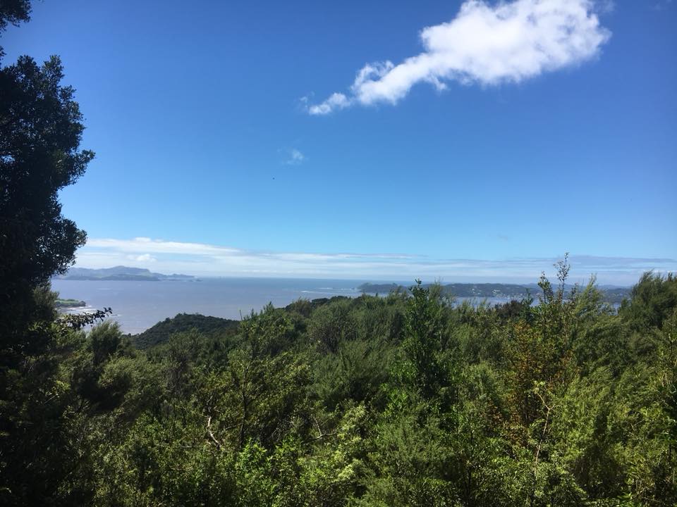 Feature: Island Girl takes the Globe with&nbsp;Alyssa