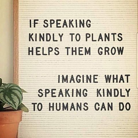 f9245872ab084a51ff350d125abc3531