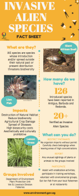 Invasive Alien Species